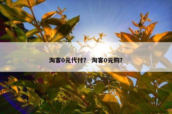 淘客0元代付？ 淘客0元购？