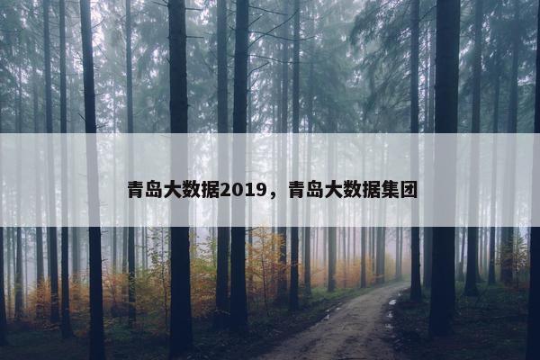 青岛大数据2019，青岛大数据集团