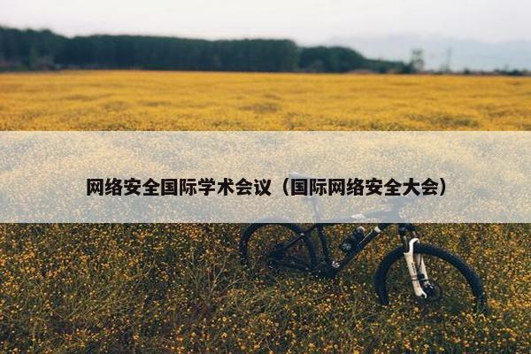 网络安全国际学术会议（国际网络安全大会）