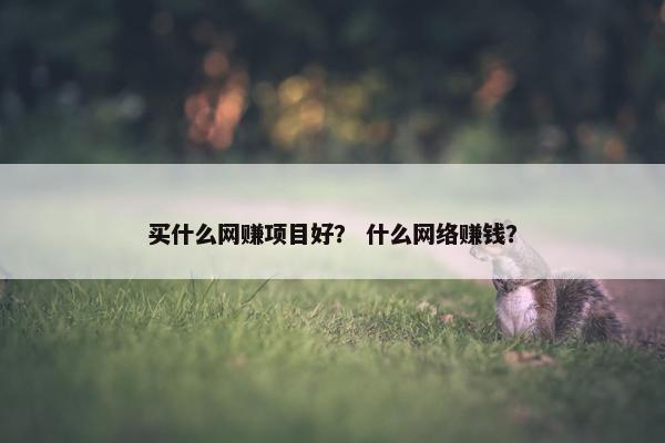 买什么网赚项目好？ 什么网络赚钱？