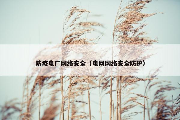 防疫电厂网络安全（电网网络安全防护）