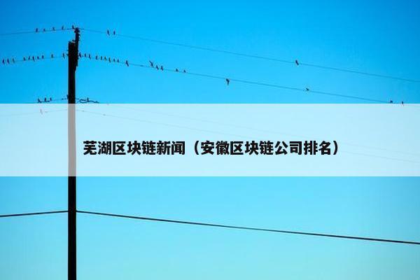 芜湖区块链新闻（安徽区块链公司排名）