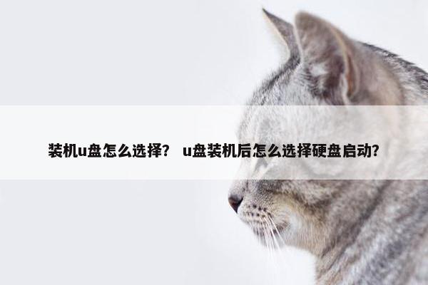 装机u盘怎么选择？ u盘装机后怎么选择硬盘启动？