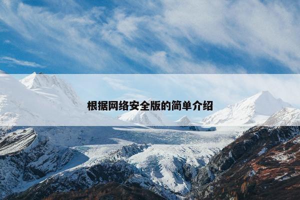 根据网络安全版的简单介绍