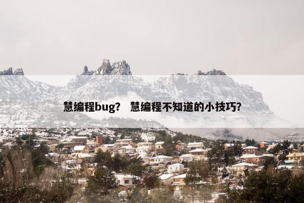 慧编程bug？ 慧编程不知道的小技巧？