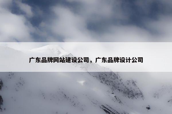 广东品牌网站建设公司，广东品牌设计公司