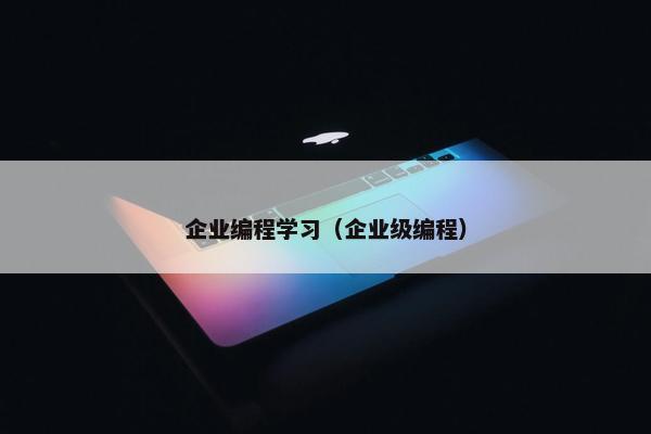 企业编程学习（企业级编程）