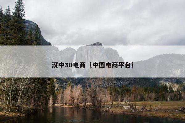 汉中30电商（中国电商平台）