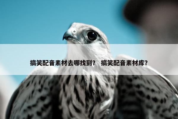 搞笑配音素材去哪找到？ 搞笑配音素材库？