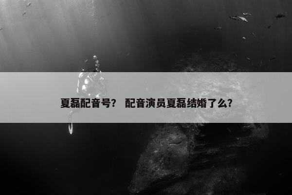 夏磊配音号？ 配音演员夏磊结婚了么？