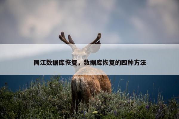 同江数据库恢复，数据库恢复的四种方法