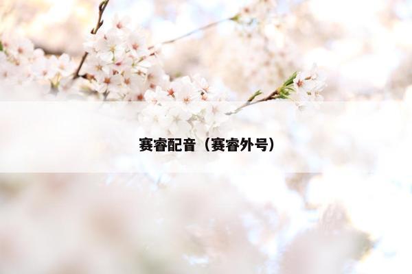赛睿配音（赛睿外号）