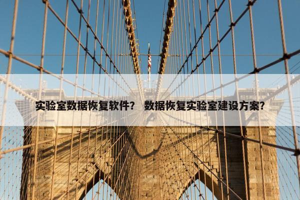 实验室数据恢复软件？ 数据恢复实验室建设方案？