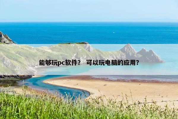 能够玩pc软件？ 可以玩电脑的应用？