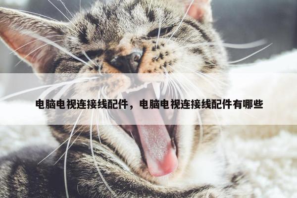 电脑电视连接线配件，电脑电视连接线配件有哪些