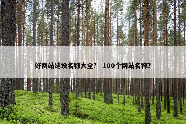 好网站建设名称大全？ 100个网站名称？
