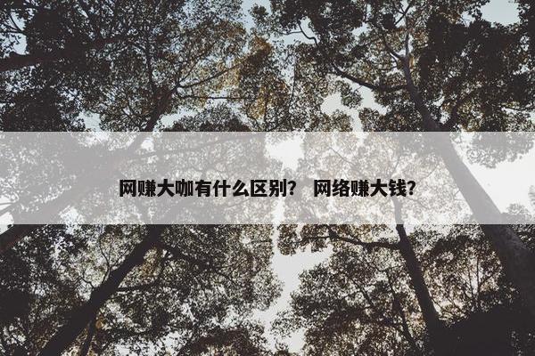 网赚大咖有什么区别？ 网络赚大钱？