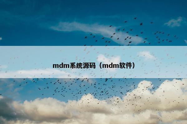 mdm系统源码（mdm软件）