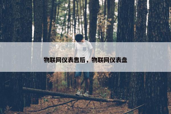 物联网仪表售后，物联网仪表盘