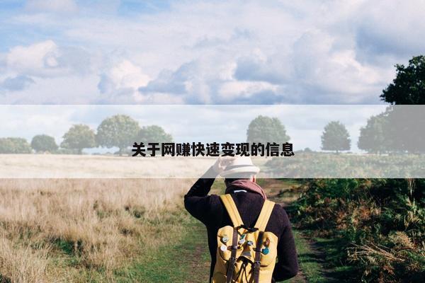 关于网赚快速变现的信息