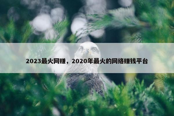 2023最火网赚，2020年最火的网络赚钱平台