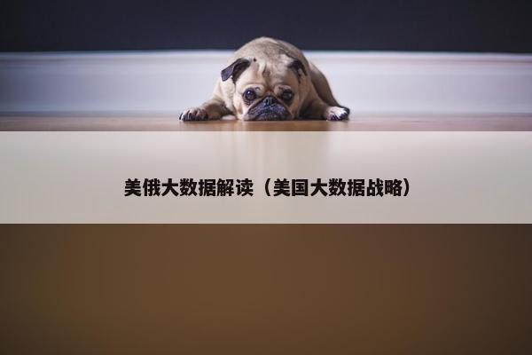 美俄大数据解读（美国大数据战略）