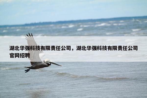 湖北华强科技有限责任公司，湖北华强科技有限责任公司官网招聘