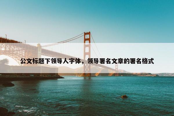 公文标题下领导人字体，领导署名文章的署名格式