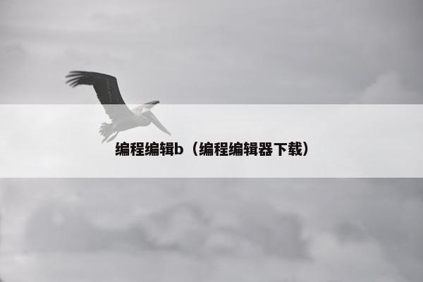 编程编辑b（编程编辑器下载）