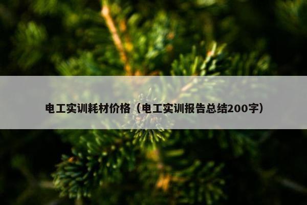 电工实训耗材价格（电工实训报告总结200字）