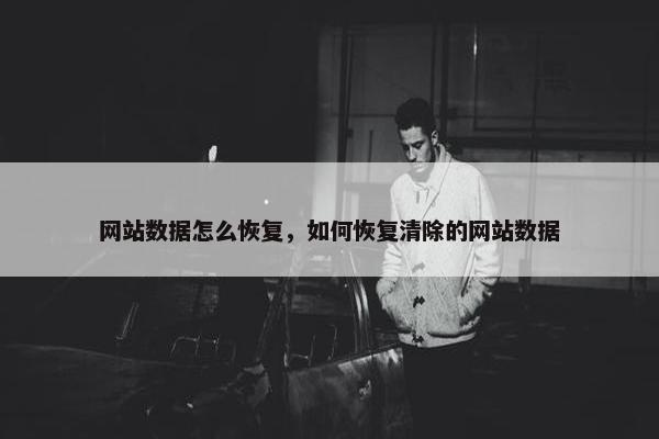 网站数据怎么恢复，如何恢复清除的网站数据