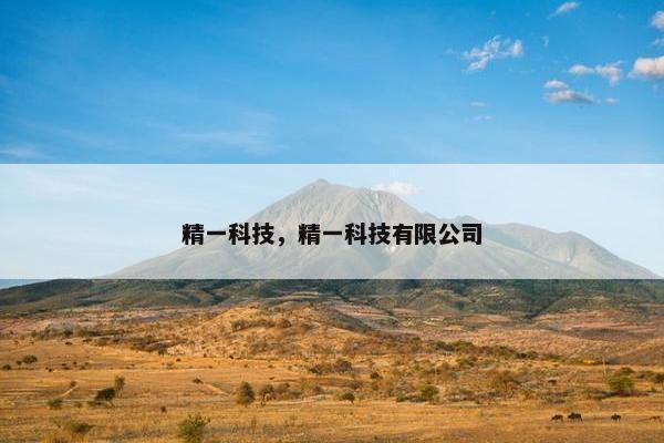 精一科技，精一科技有限公司