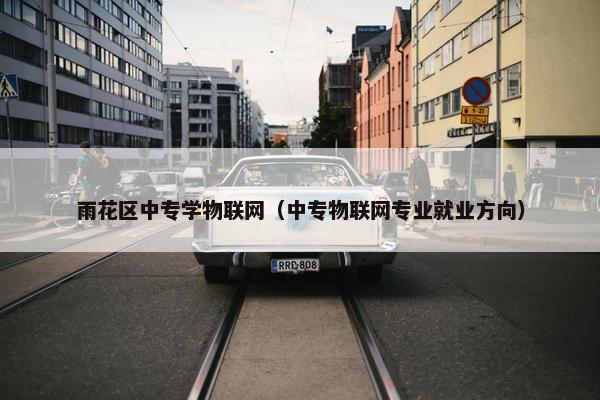 雨花区中专学物联网（中专物联网专业就业方向）