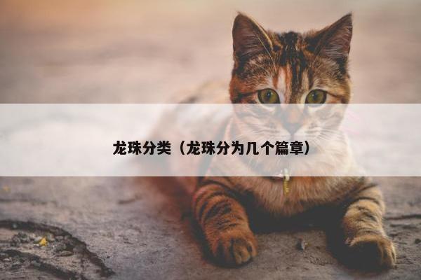 龙珠分类（龙珠分为几个篇章）