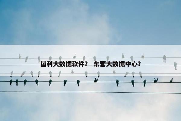 垦利大数据软件？ 东营大数据中心？