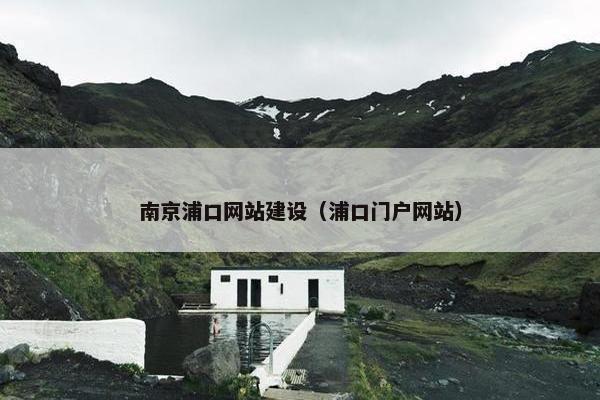 南京浦口网站建设（浦口门户网站）