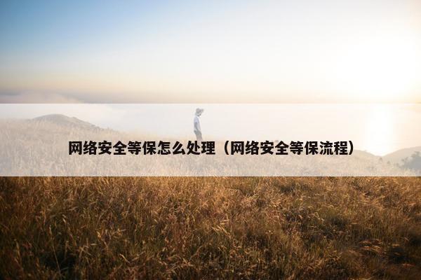 网络安全等保怎么处理（网络安全等保流程）