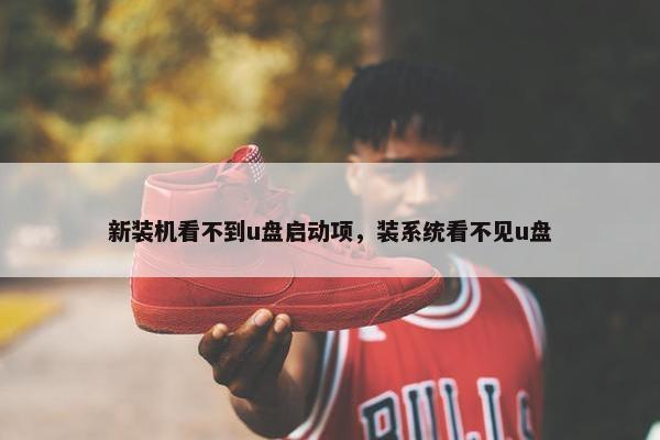 新装机看不到u盘启动项，装系统看不见u盘