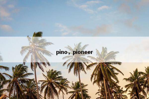 pino，pioneer