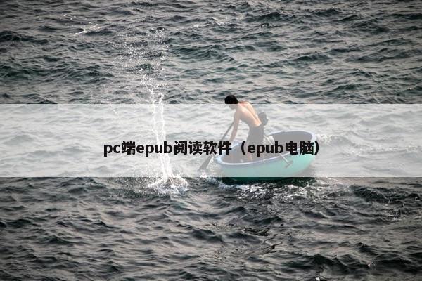 pc端epub阅读软件（epub电脑）