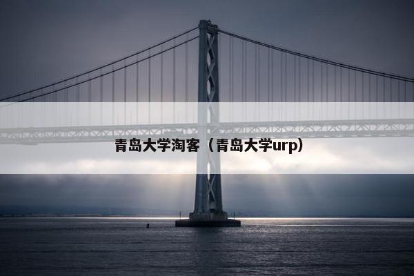 青岛大学淘客（青岛大学urp）