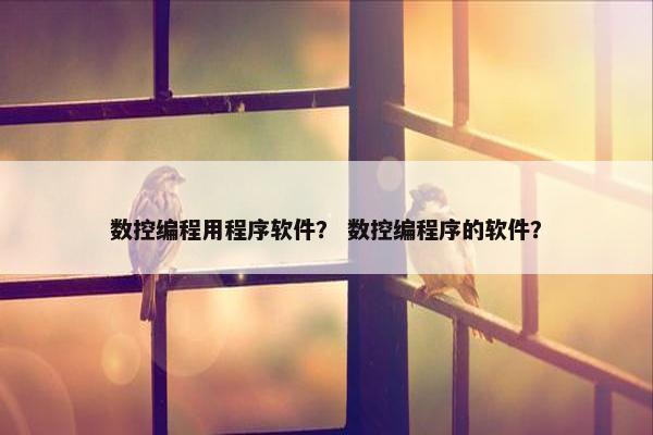 数控编程用程序软件？ 数控编程序的软件？
