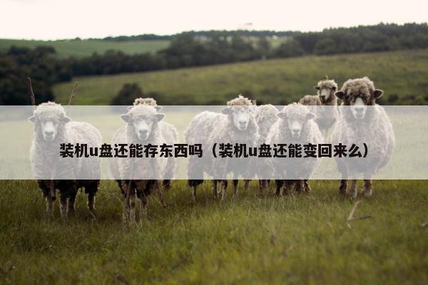 装机u盘还能存东西吗（装机u盘还能变回来么）