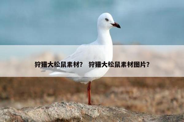 狩猎大松鼠素材？ 狩猎大松鼠素材图片？