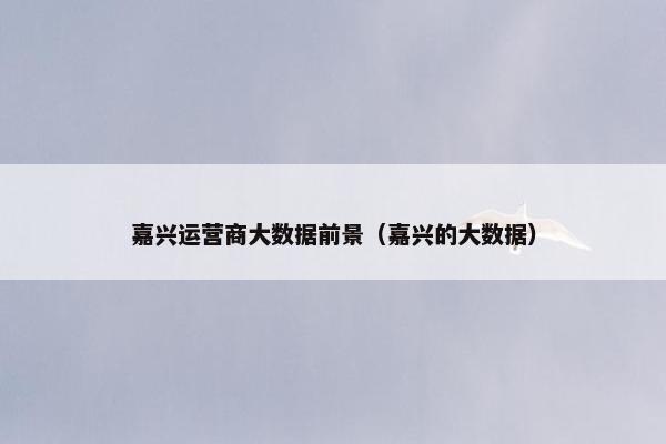 嘉兴运营商大数据前景（嘉兴的大数据）