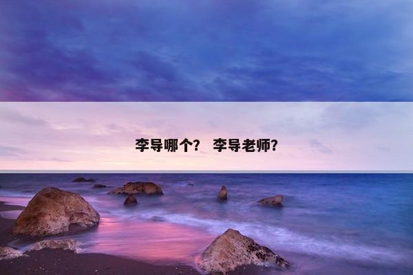 李导哪个？ 李导老师？