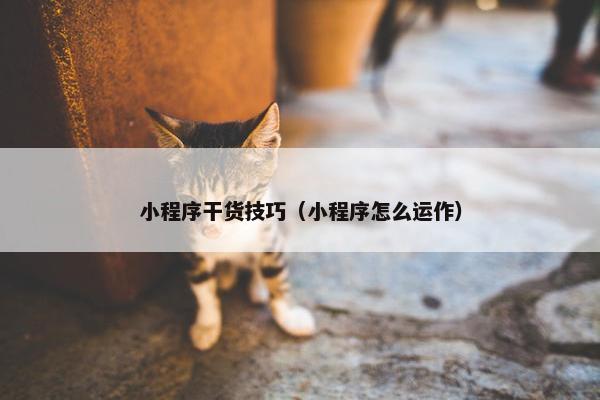 小程序干货技巧（小程序怎么运作）