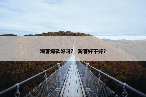 淘客爆款好吗？ 淘客好不好？