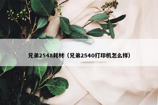 兄弟2548耗材（兄弟2540打印机怎么样）