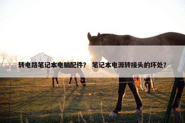 转电路笔记本电脑配件？ 笔记本电源转接头的坏处？